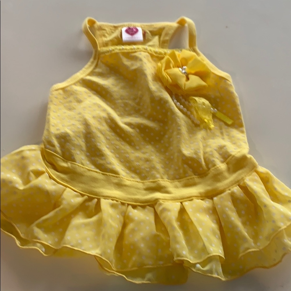 Puppy clothes